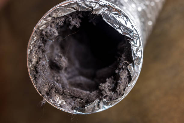 Best Affordable HVAC Duct Cleaning  in Crestline, CA